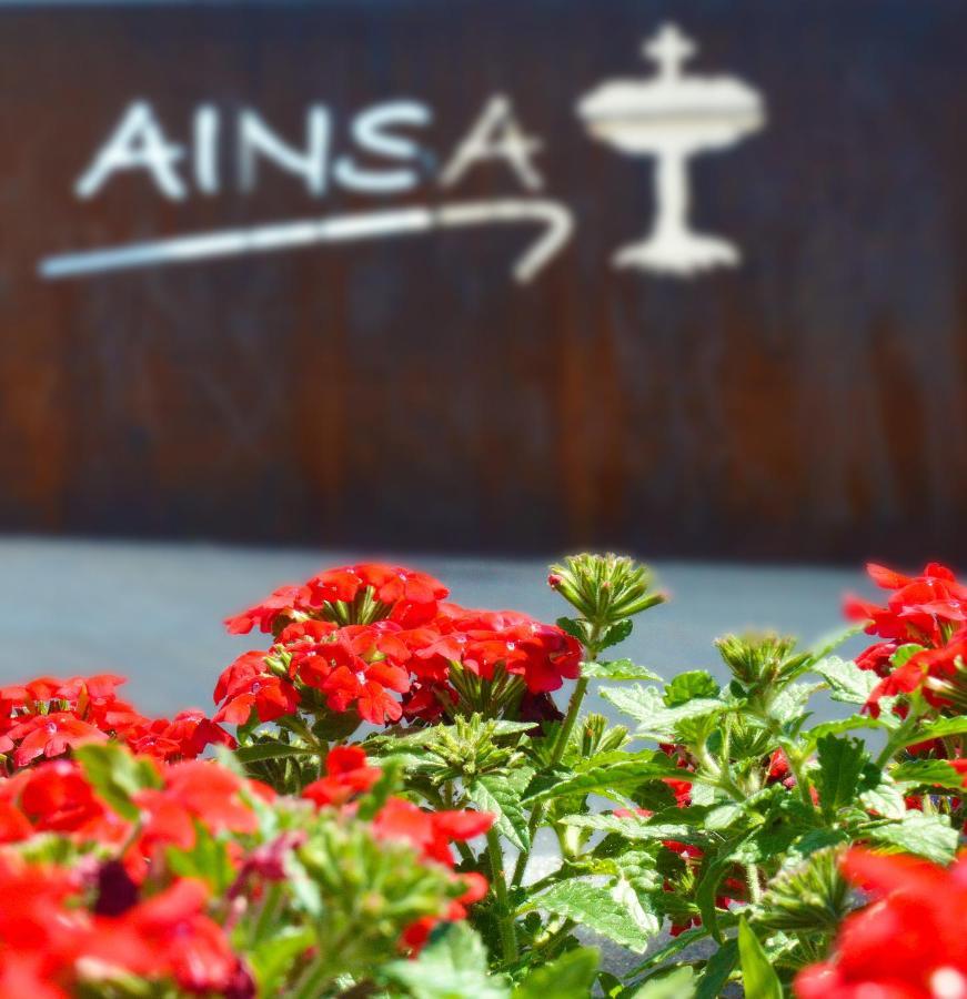 Guest House Ainsa Pirineos ภายนอก รูปภาพ