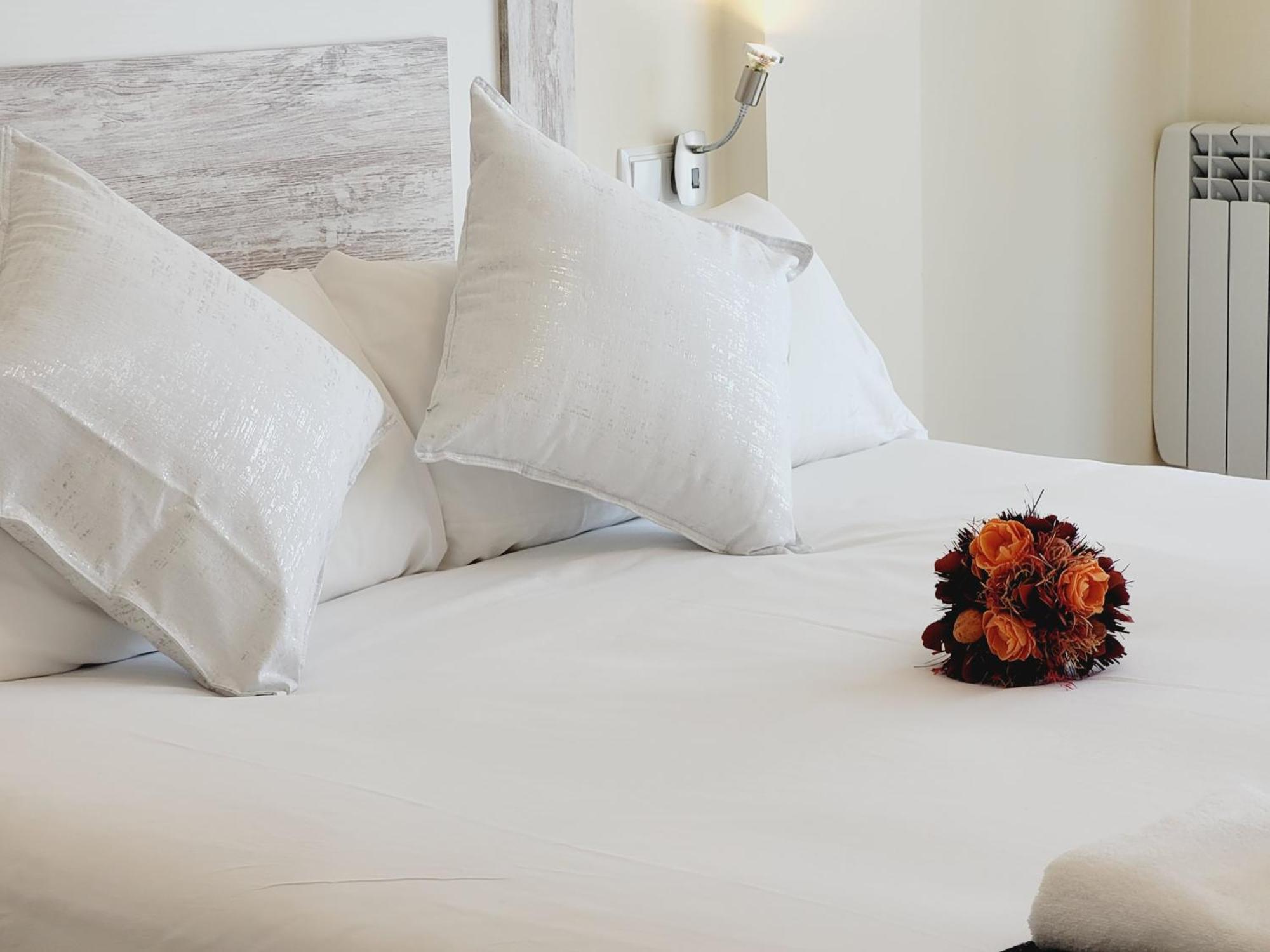 Guest House Ainsa Pirineos ห้อง รูปภาพ